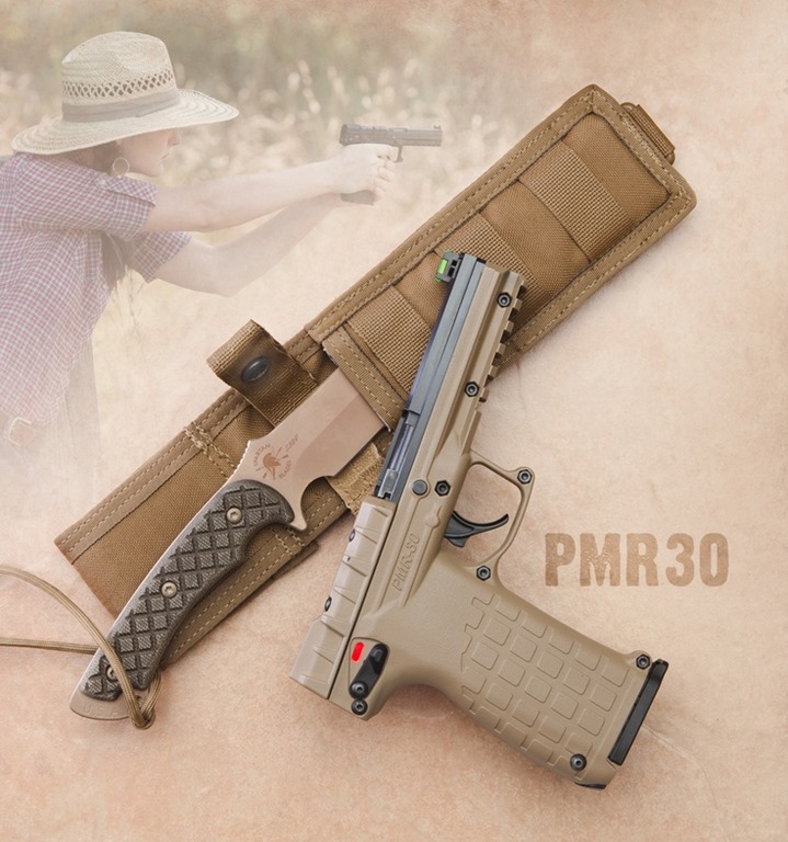 Gun of the Day - Kel-Tec PMR30.